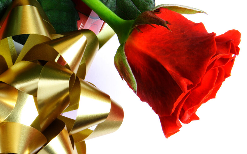 Red Rose with Gold Bow