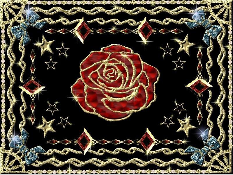 red rose with golden frame