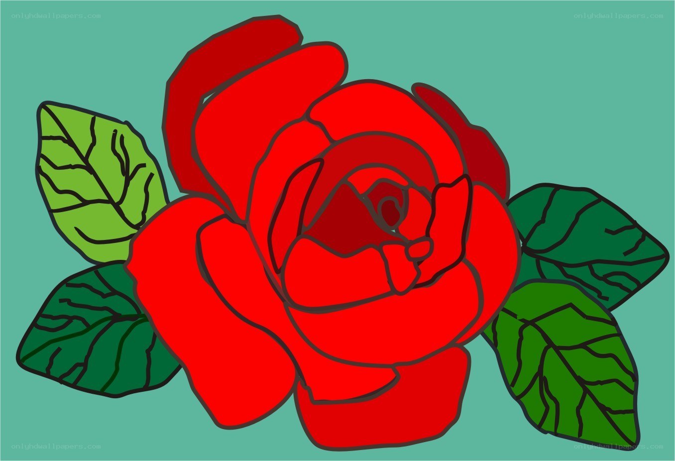 red rose with green leaves