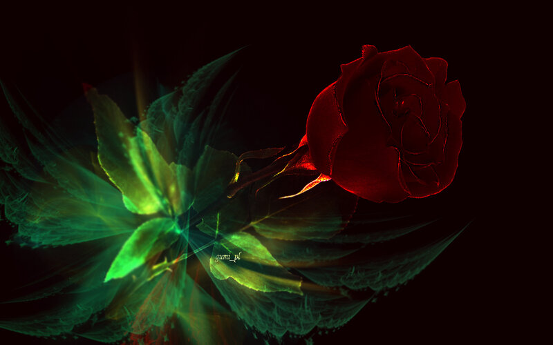 Red Rose with Green Leaves — Dramatic, Digital Art, Dark Background