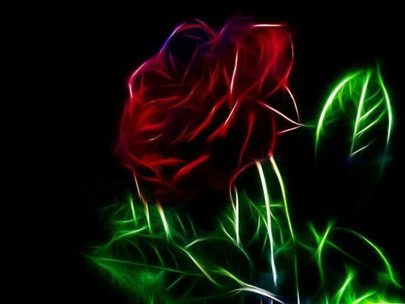 Red Rose with Green Leaves — Dramatic, Digital Art, Leaf