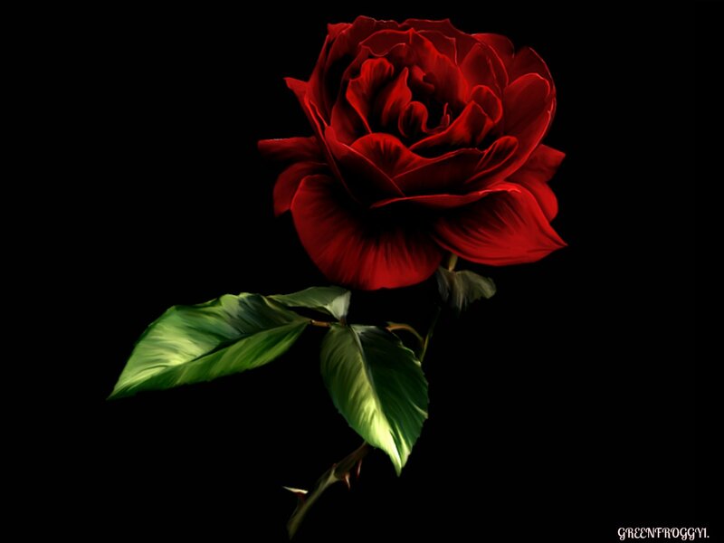 Red Rose with Green Leaves — Dramatic, Digital Art, Stem