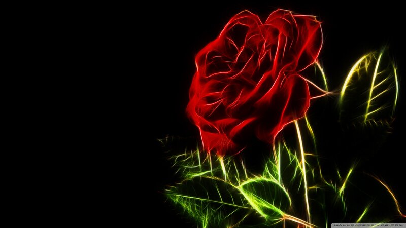 Red Rose with Green Leaves — Dramatic, Digital Art