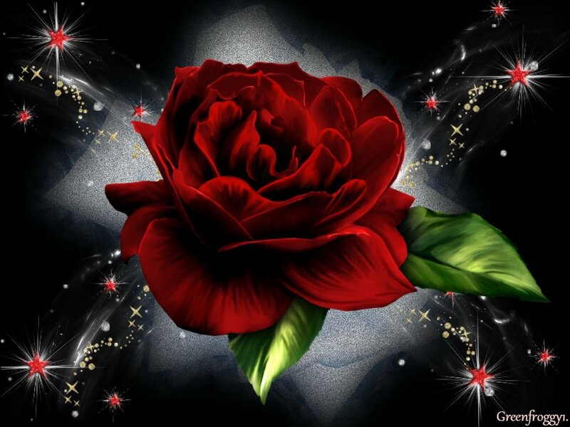 Red Rose with Green Leaves — Dramatic, Night