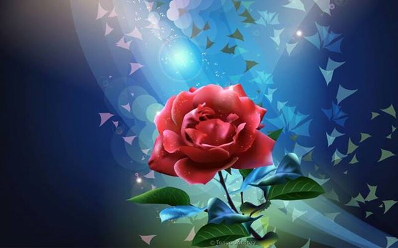 Red Rose with Green Leaves — Dreamy