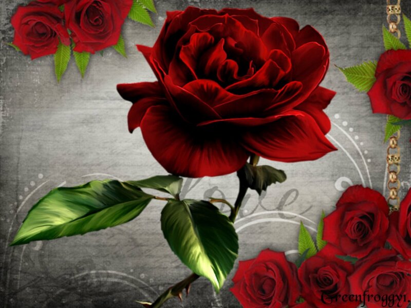 Red Rose with Green Leaves — Romantic, Digital Art