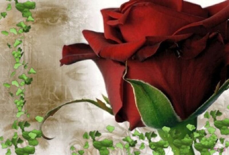 Red Rose with Green Leaves — Serene, Digital Art
