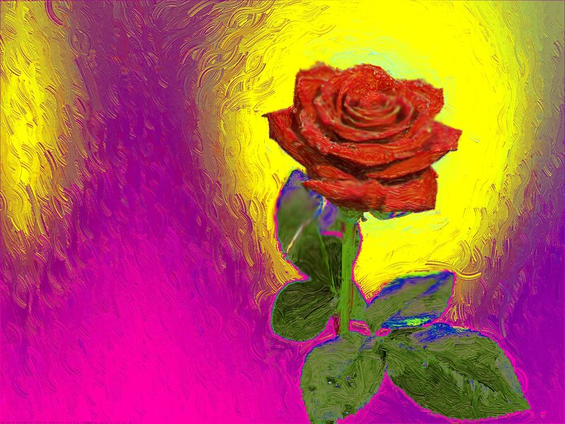 Red Rose with Green Leaves — Yellow