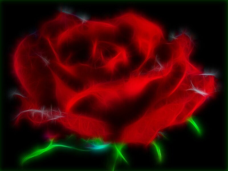 Red Rose with Green Stem — Dramatic, Digital Art, Petals