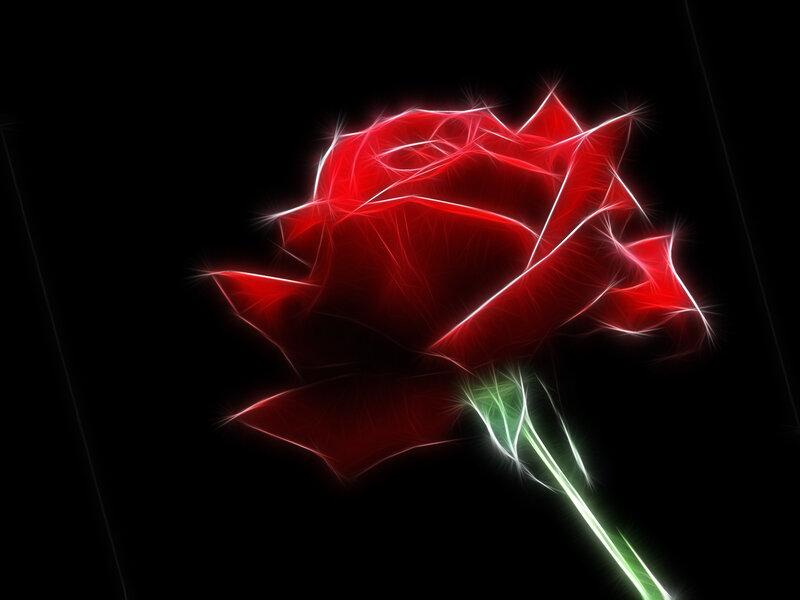 Red Rose with Green Stem — Dramatic, Digital Art