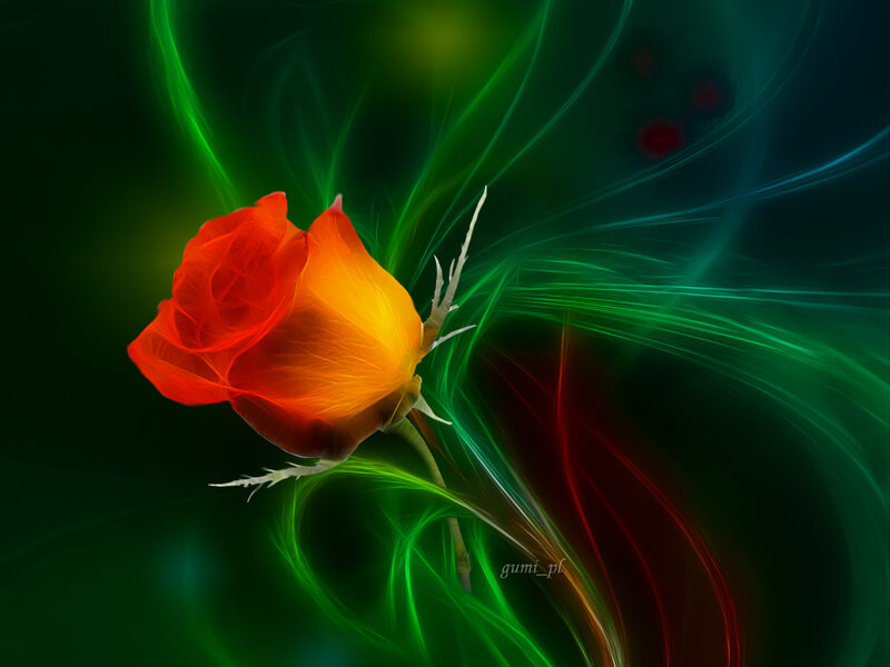 Red Rose with Green Swirls