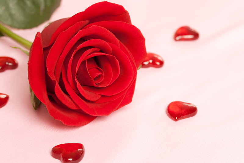 Red Rose with Heart Candies