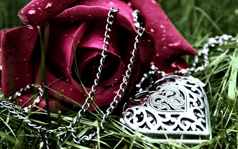 Red Rose with Heart Locket — Romantic, Photograph