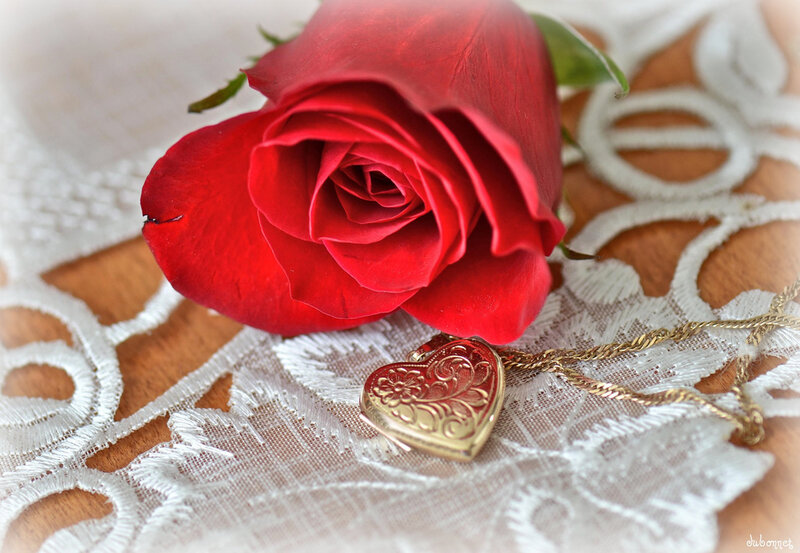 Red Rose with Heart Locket