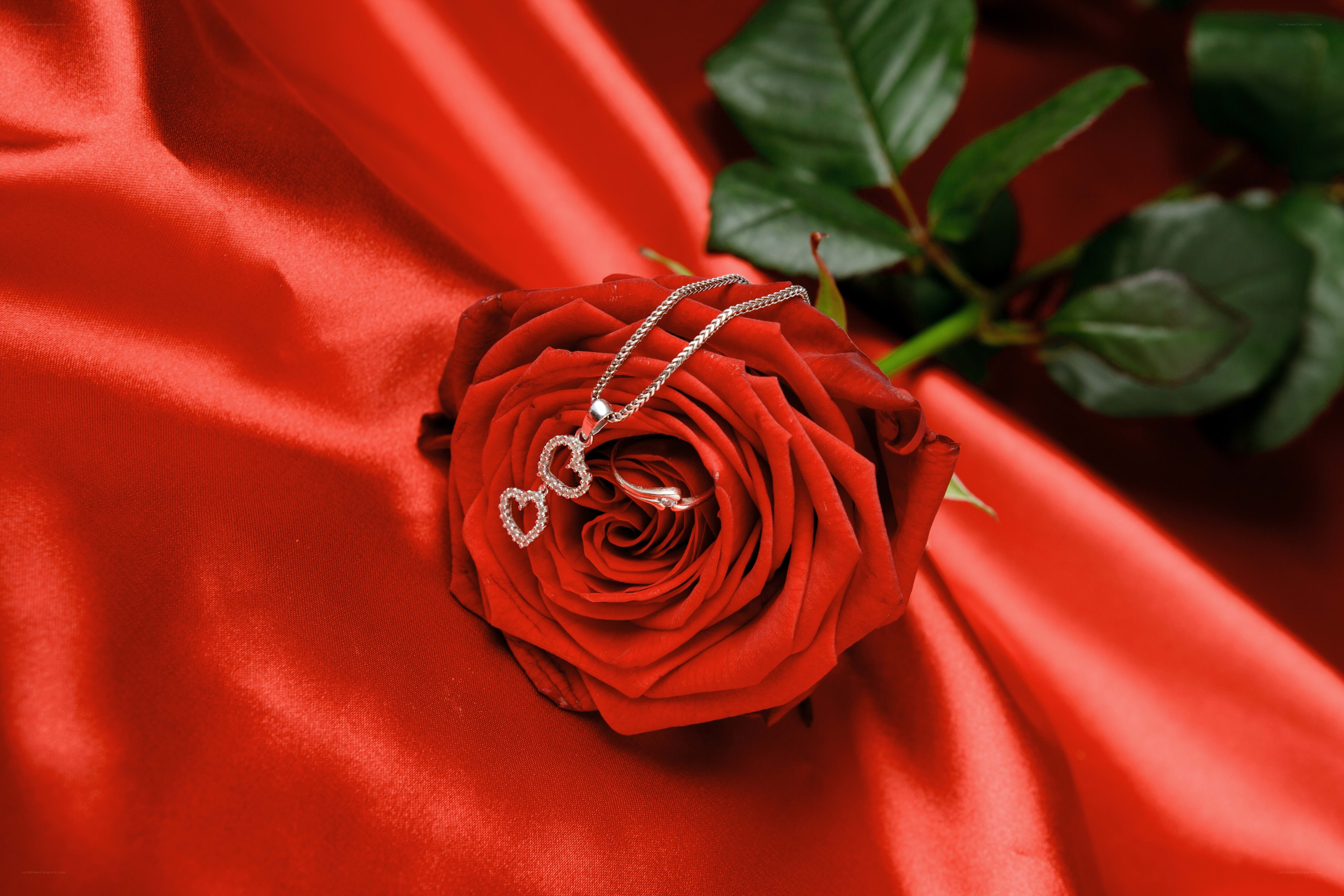 Red rose with heart necklace