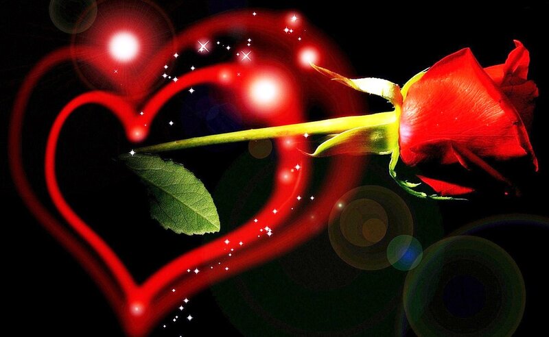 Red Rose with Heart — Romantic, Night