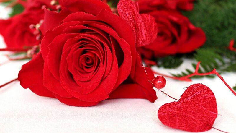 Red Rose with Heart — Romantic, Photograph, Greenery