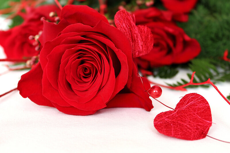 Red Rose with Heart — Romantic, Photograph