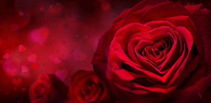 Red Rose with Heart Shape