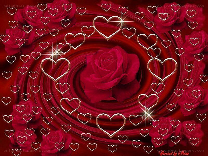 red rose with heart swirl