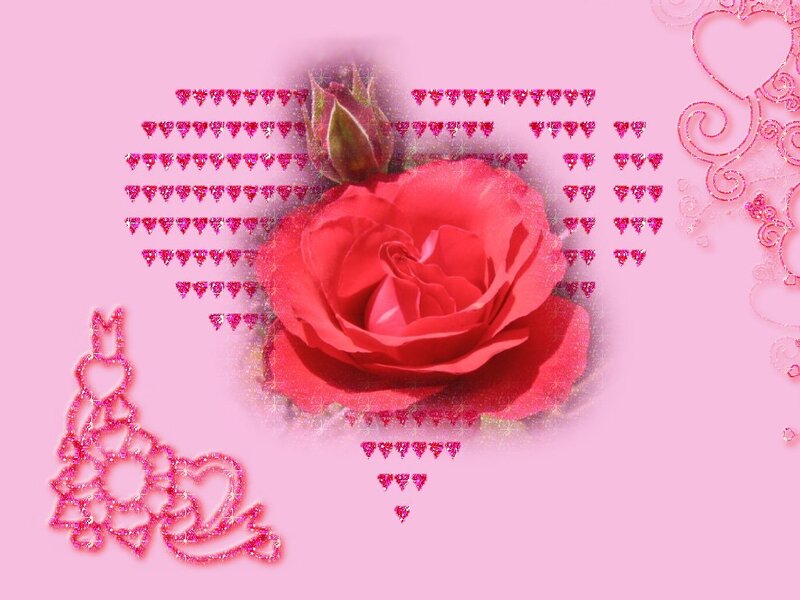 Red Rose with Hearts — Pink, Romantic