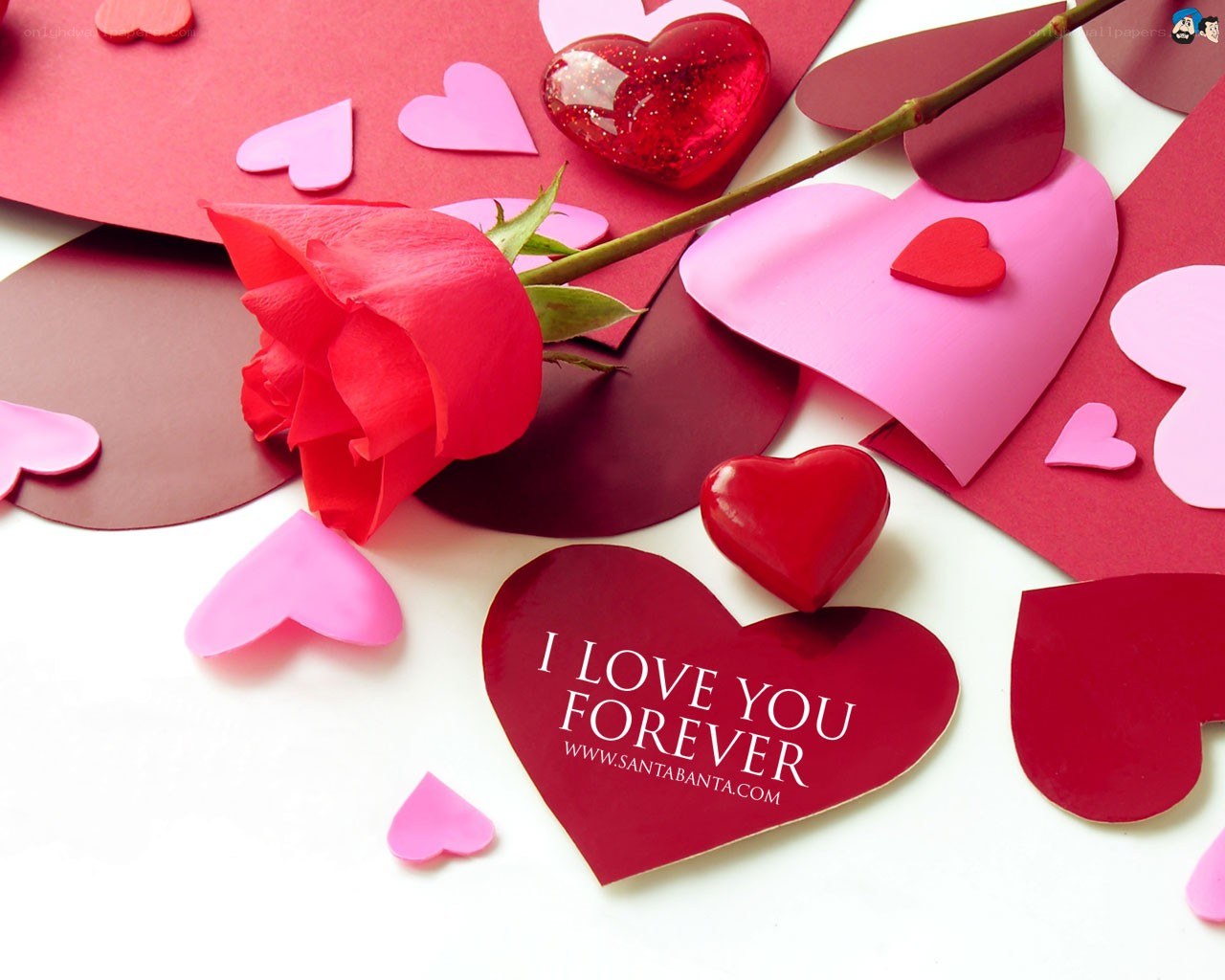 Red rose with hearts