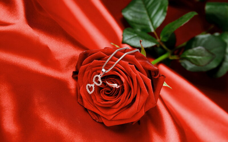 Red Rose with Jewelry