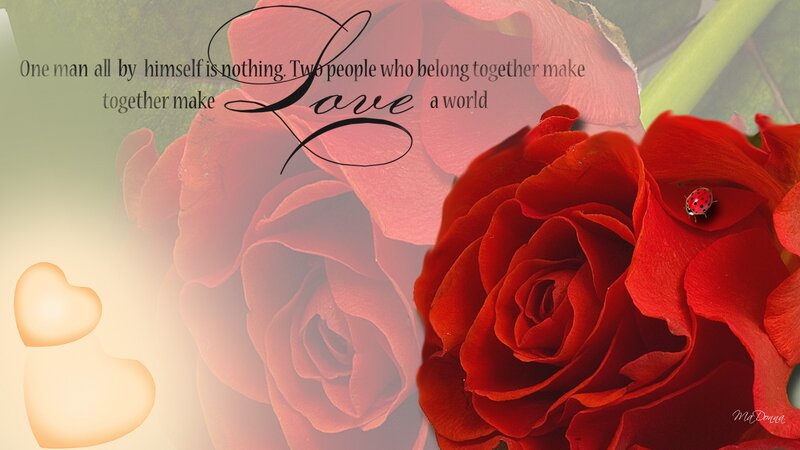 Red Rose with Ladybug — Romantic