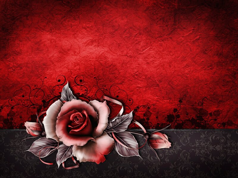 Red Rose with Leaves — Dramatic, Digital Art, Buds