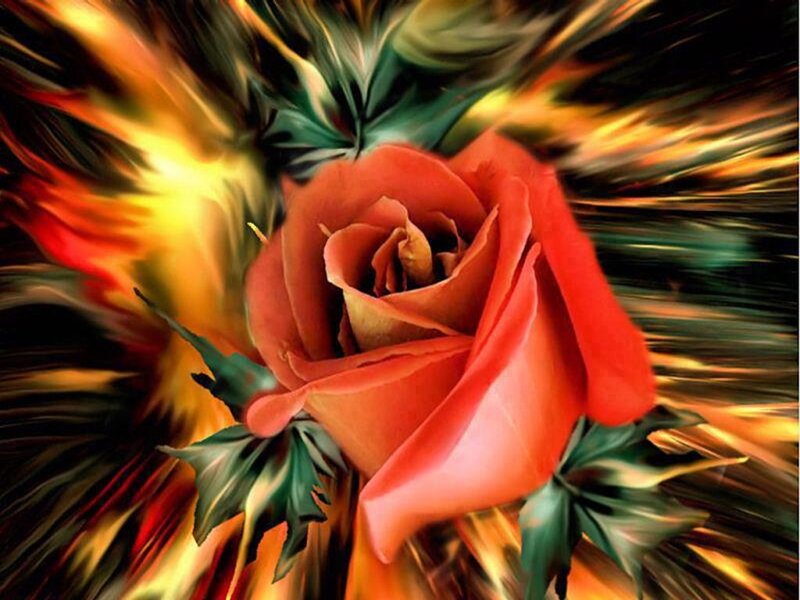 Red Rose with Leaves — Dramatic, Digital Art, Fire