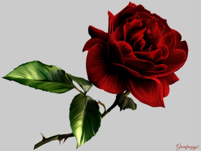 Red Rose with Leaves — Dramatic, Digital Art, Stem, Thorns