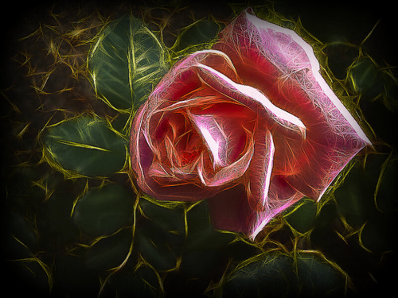 Red Rose with Leaves — Dramatic, Digital Art, Thorns