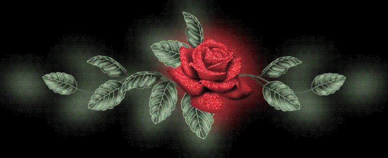 Red Rose with Leaves — Dramatic
