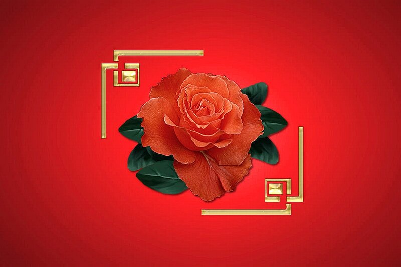 Red Rose with Leaves — Festive