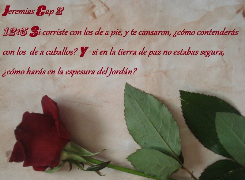 Red Rose with Leaves — Somber