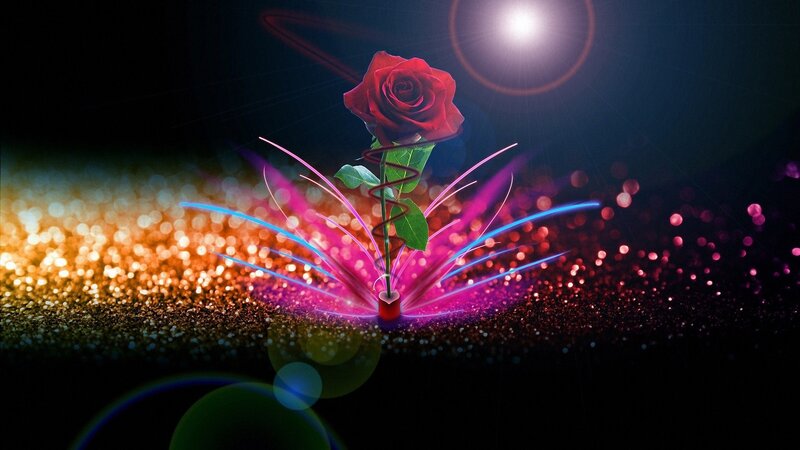 Red Rose with Light Effects — Dramatic, Night, Digital Art, Light Streaks