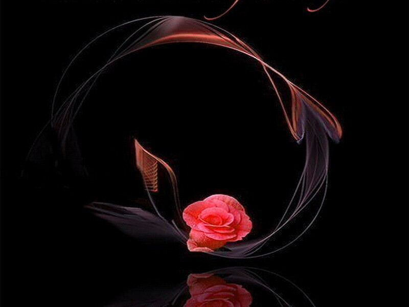 Red Rose with Light Trails