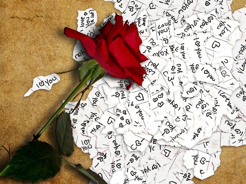 Red rose with love notes