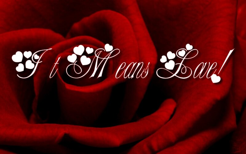 Red rose with love text