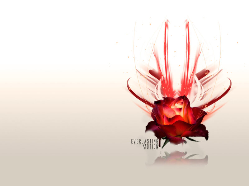 Red rose with motion effect