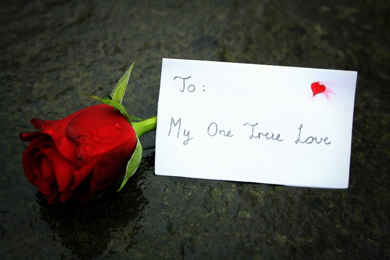 Red Rose with Note — Romantic, Photograph