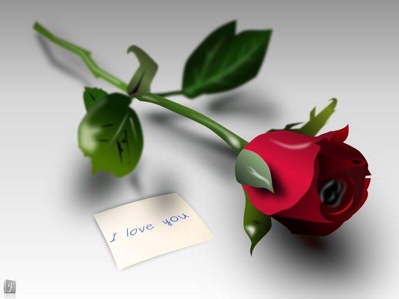Red Rose with Note — Romantic
