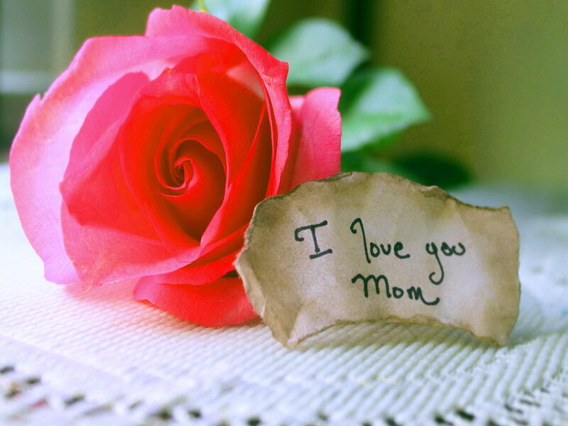Red Rose with Note — Sentimental