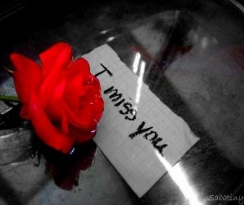 Red Rose with Note