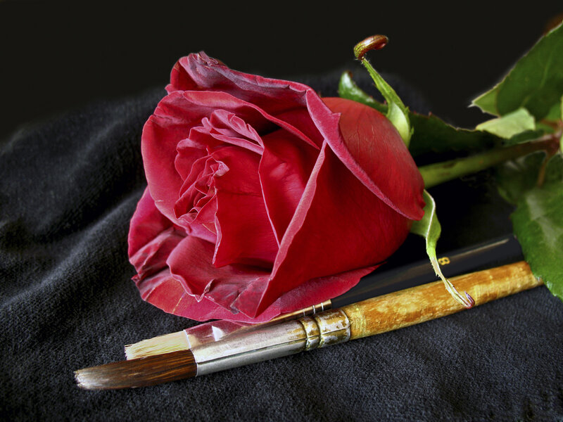 Red Rose with Paintbrush