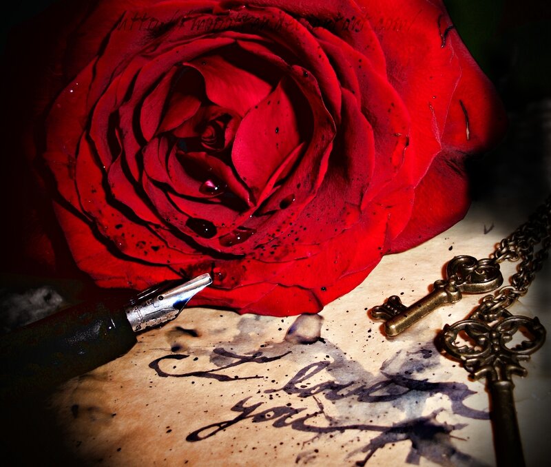 Red Rose with Pen