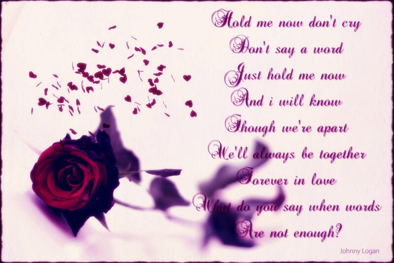 Red Rose with Petals — Purple