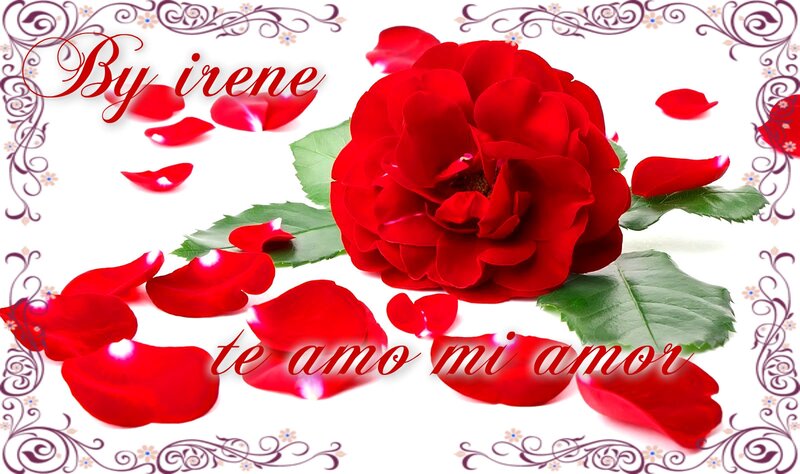 Red Rose with Petals — Romantic, Illustration