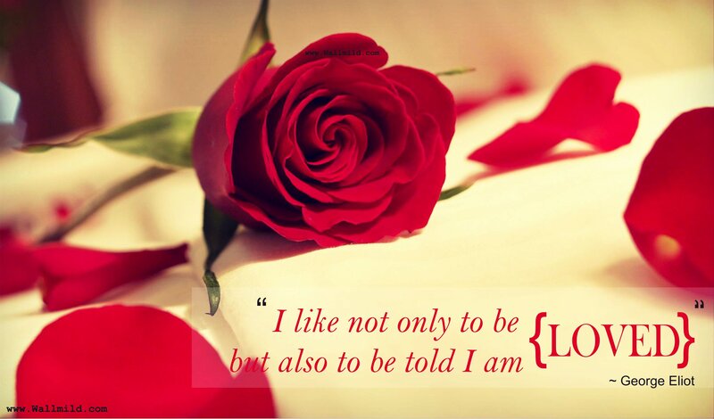 Red Rose with Petals — Romantic, Photograph, Text