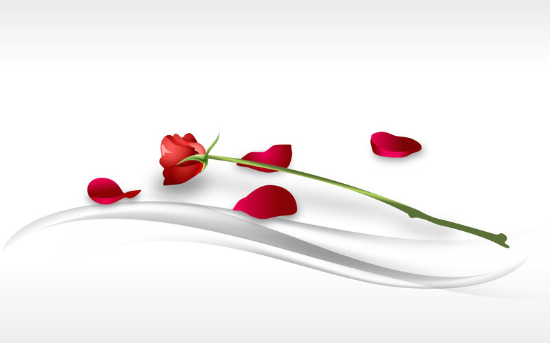 Red Rose with Petals — Serene